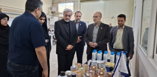شرکت‌های دانش‌بنیان بازوی توانمند دستگاه‌ ها در حل چالش‌ها هستند