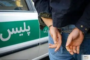 سرقت خشن طلاهای زن سالخورده برای تامین هزینه ازدواج