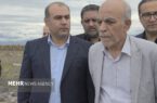 عبدالعلی زاده: بندر ترکمن و گز به قطب گردشگری دریایی شمال تبدیل میشوند